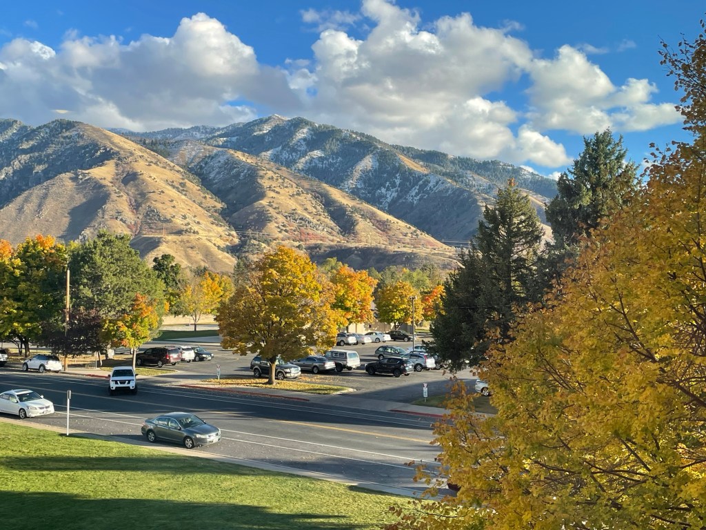 10/30/24- Day 42 – Frost-Coated Land