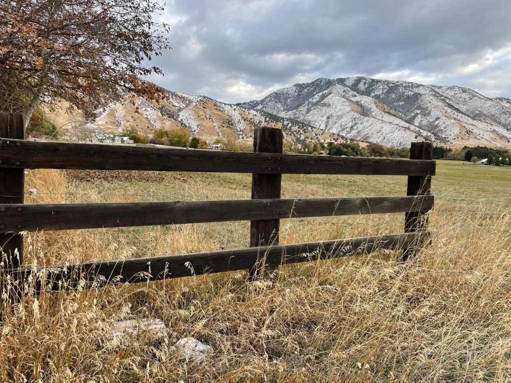 11/4/24 – Day 45 – Logan Hallmark movie